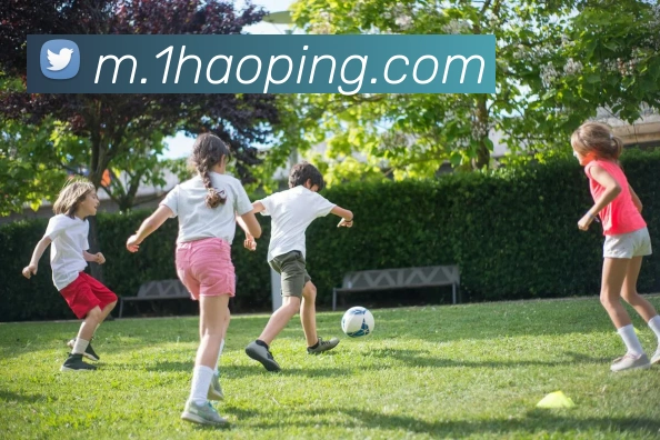 多媒体互动体验